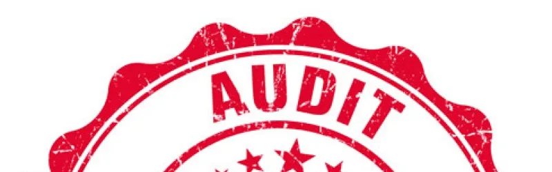 Audit Report for 2015