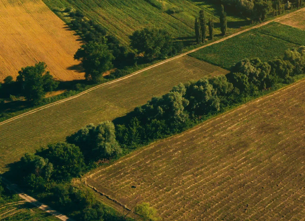 Agro Loan