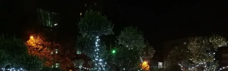New Year Park on Vazha-Pshavela Avenue