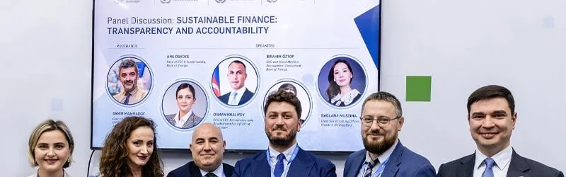29th Conference of the Parties to the UN Framework Convention on Climate Change (COP29)