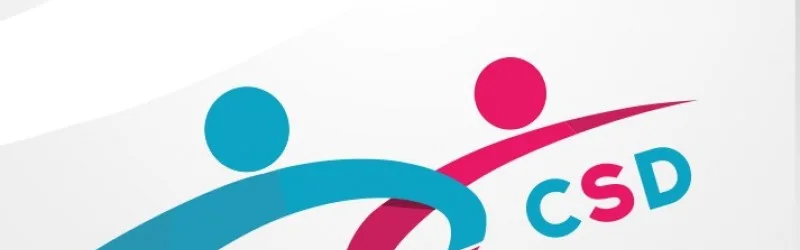 Pro Bono Activity