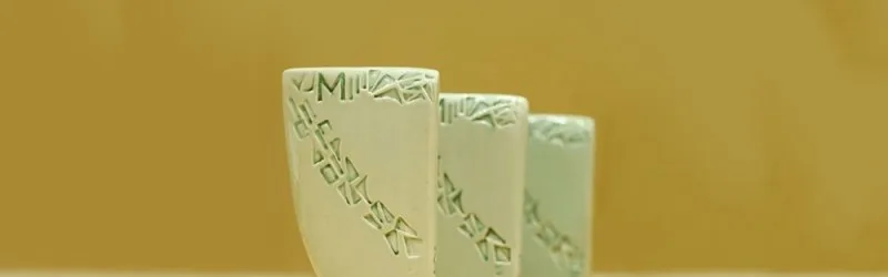 "ემბისი"-ს CSR მენეჯერი "მელიორა 2019"-ის გამარჯვებულია