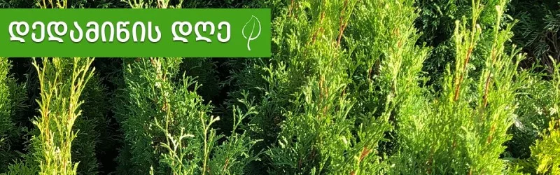 April 22 is Earth Day