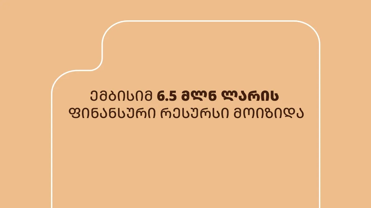 ემბისიმ responsAbility Investments AG-სგან 6,5 მლნ ლარის ფინანსური რესურსი მოიზიდა