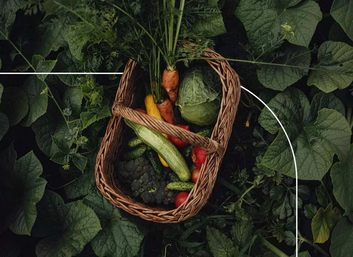Unsecured Agro Loan